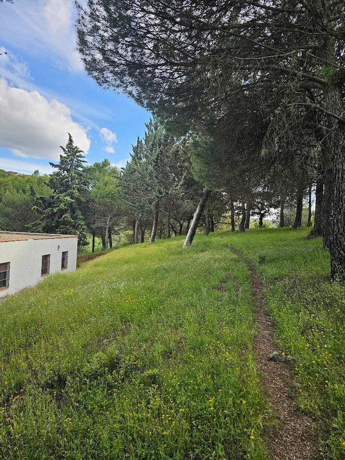 Interior alojamiento